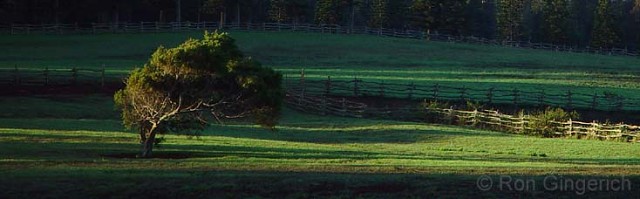 "First Light At Ko`ele"