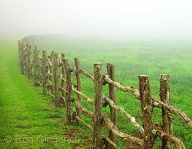 Early morning mist at Ko`ele