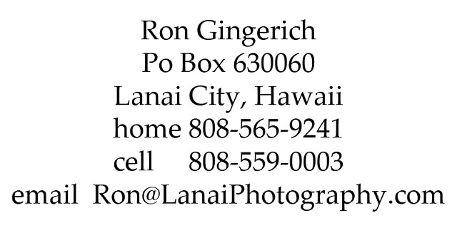 Contact Ron On Lanai